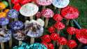 magic_mushrooms-1.si_.jpg