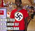 How+i+feel+as+a+high+elf+storm+cloak+i_cbf0e4_4716688.jpg