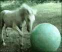 1454587177153.gif