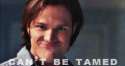 tumblr_mv5b73iPAQ1shatvfo3_250.gif