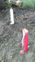 ferretfuneral10.jpg