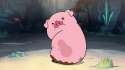 gravity-falls-waddles-funny-cute-1920x1080-wallpaper130694.jpg