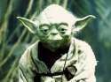 yoda.jpg