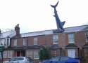 motherfucking SHARK.jpg
