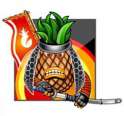 ParryPineappleSamurai.jpg