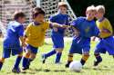 tmp_29368-6-8Soccer2069488881.jpg