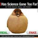 a4456df6657fd085c614d2ad0cdb2f6b.jpg