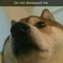 you mother fucker.jpg