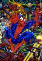 spiderman.jpg