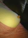 mms95picture.jpg