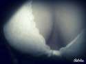 IMG-20140815-WA0001.jpg