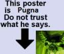 down pugna.png