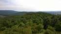 WP_20140628_003.jpg