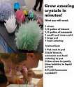 FB_IMG_1463723692878.jpg