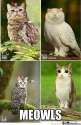 FB_IMG_1460970401990.jpg