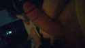 20160520_023755.jpg