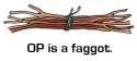 faggot.jpg