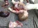 gutted baby.jpg