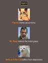 hh17.jpg