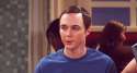 mfw-sheldor.gif