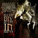 SOM_222_Morbid_Angel_web1-500x500.jpg
