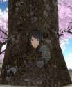 tree.jpg