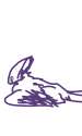 SketchBoard2016-12-20_04_12_30.jpg