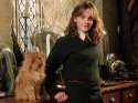 The-movie-prisoner-of-azkaban-31843930-500-375.jpg