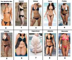 female body types.jpg