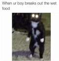 FB_IMG_1460867868648.jpg