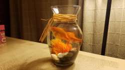 20160521_034056.jpg