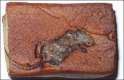 malt loaf mouse.jpg