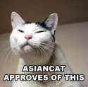 Asiancatapproves.jpg