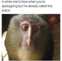 FB_IMG_1462887952602.jpg