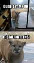 mittens wants in 1452812855094.jpg