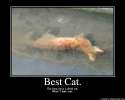 BestCat-1.png