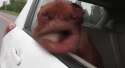 10205420_9_550_300.gif