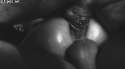 Jada Stevens juicy holes - Imgur.gif