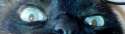 IMG-20160521-WA0006.jpg
