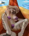 49b9351e76019d1ee2f137e176cae606.png
