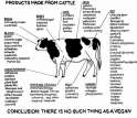 we are all cow.jpg