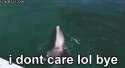 dont-care.gif