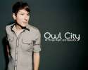 owlcity.jpg