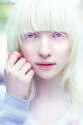 albino2.jpg