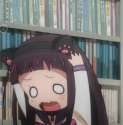 IMG_2154.gif