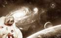 made_an_improved_space_sloth_wallpa_360115329.1680x0.jpg