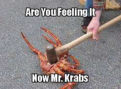 krbs.jpg
