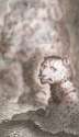 thwarty_jaguar.png