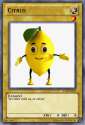 4CHN-EN015-Citrus.jpg