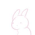 pindu.png